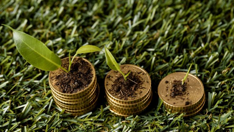 Plantas creciendo de monedas