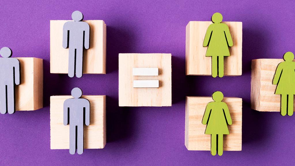 Hacia la igualdad de género en investigación de ciencia y tecnología