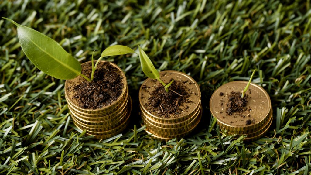 La Economía de la dona: una nueva visión para el desarrollo sostenible
